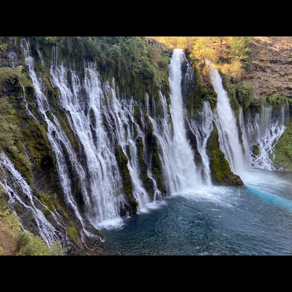 Meet your Posher, Fernanda - Picture 1 of 1